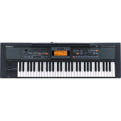 Roland E09IN