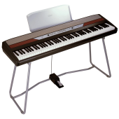 Korg SP250
