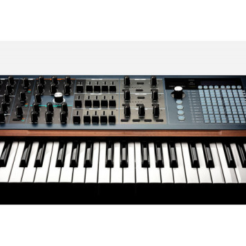 Аналоговий синтезатор Arturia PolyBrute-5