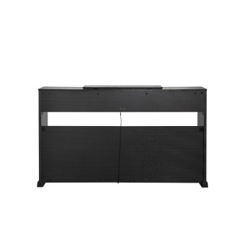 Kurzweil M215 SR-1