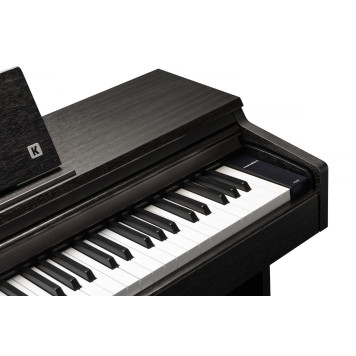 Kurzweil M215 SR-4