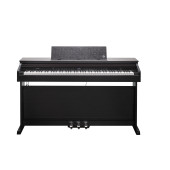 Kurzweil CUP E1 SR