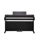 Kurzweil CUP E1 SR