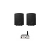 Комплект звуку DV audio A30W2PB5B до 40м.кв.
