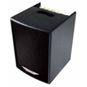 ASHDOWN ACOUSTIC 100-bk - Акустичний комбо