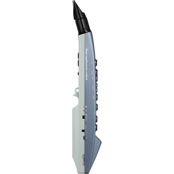 Аерофон Roland AE01-6