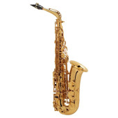 Альт-саксофон Selmer Paris SA 80 II GG Jubilee