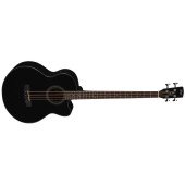 CORT SJB 5F (BK) w/bag