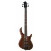 CORT B5 (TAB)