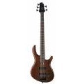 CORT B5 (TAB)