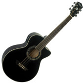 Washburn EA10 B