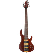 LTD D6 (NS)