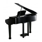 Kurzweil KAG-100 EP