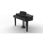 Kurzweil MPG200