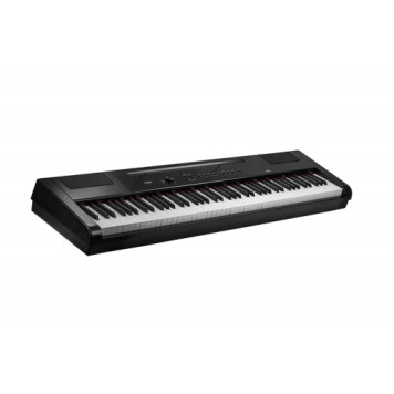 Цифрове піаніно Artesia PA88H (Black)-3