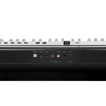 Цифрове піаніно Artesia PA88H (Black)-1