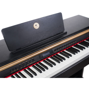 Цифрове піаніно Alfabeto Concert (Black)-2