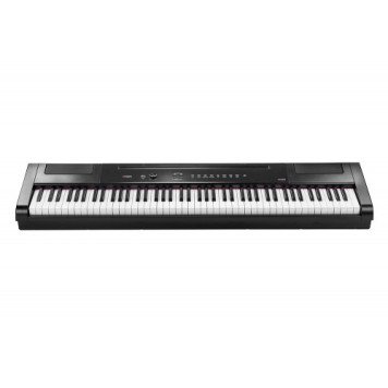Цифрове піаніно Artesia PA88H (Black)-0