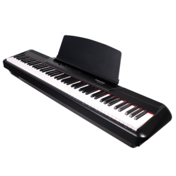 Портативне цифрове фортепіано Pearl River P600BK чорне-0