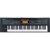 Roland E09IN